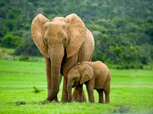 Den slonů v Zoo Liberec 2023