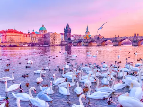 Tipy na odpočinek u Vltavy aneb užijte si zimu v Praze netradičně 