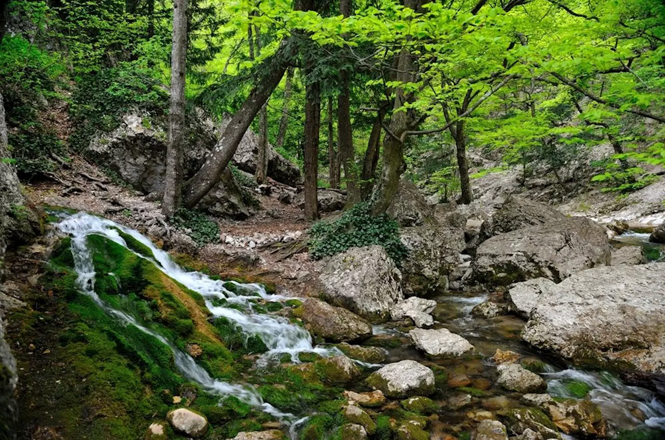 Čertova rokle u Brandýsa nad Orlicí