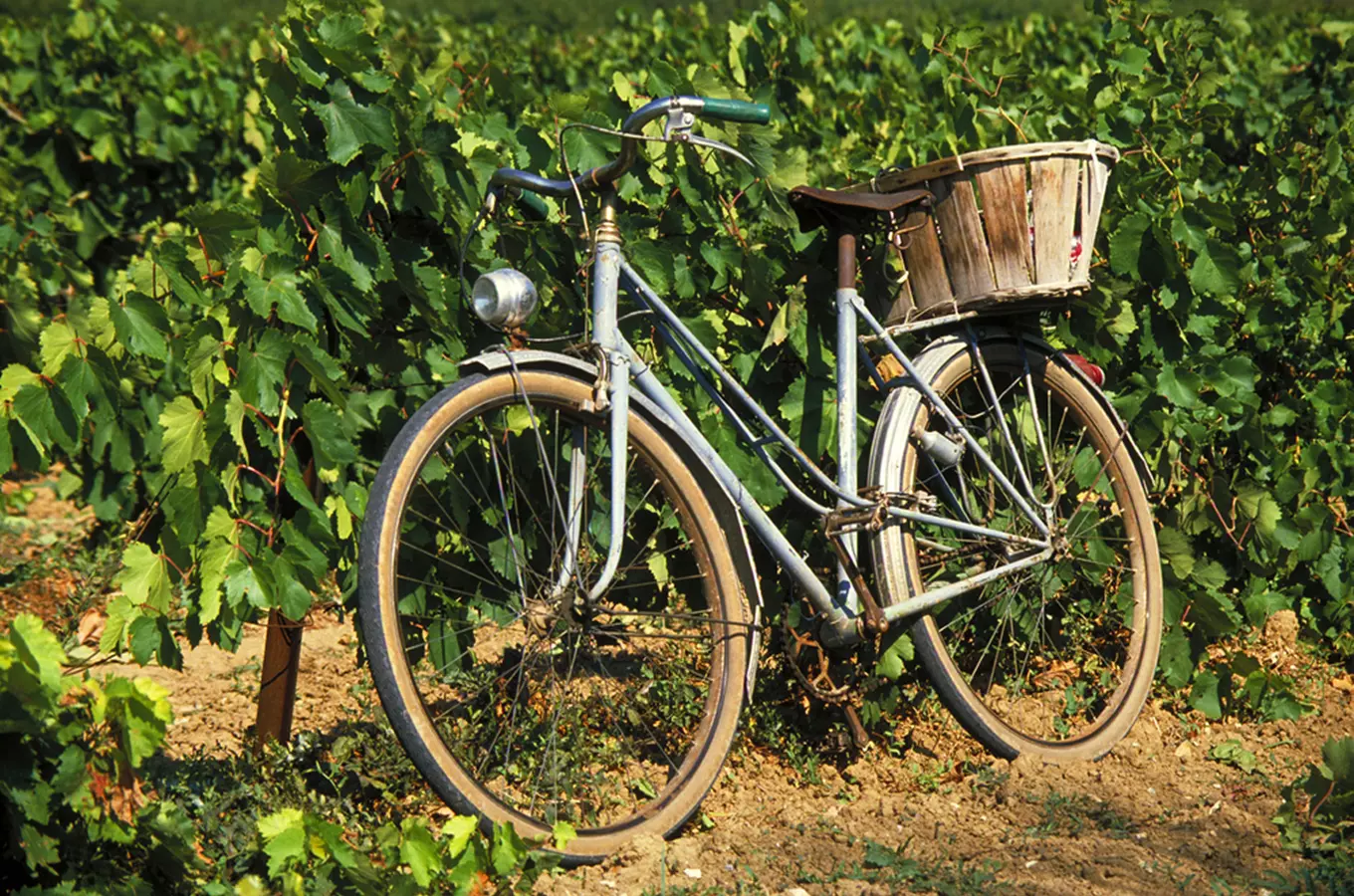 Cyklostezka Mezi poli a vinohrady