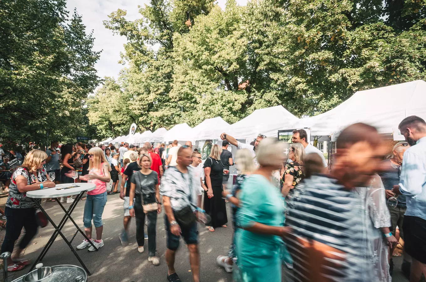 Poděbradský festival vína