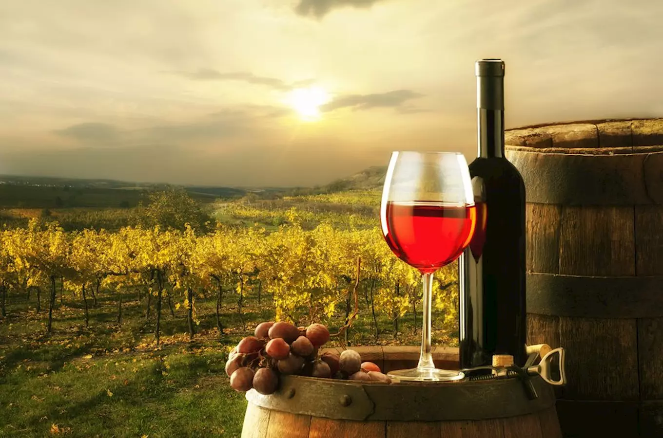 Salon vín je nejpopulárnějším TOP vinařským cílem roku 2022