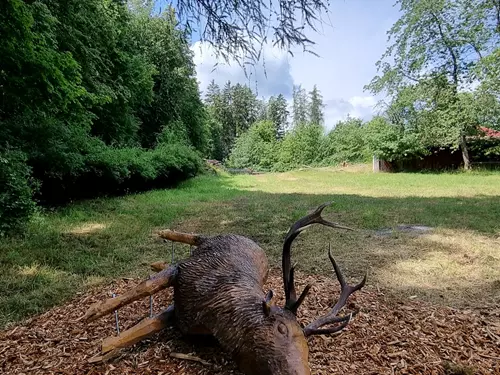 Párty skončila – expozice dřevěných soch v lesích v Karlových Varech