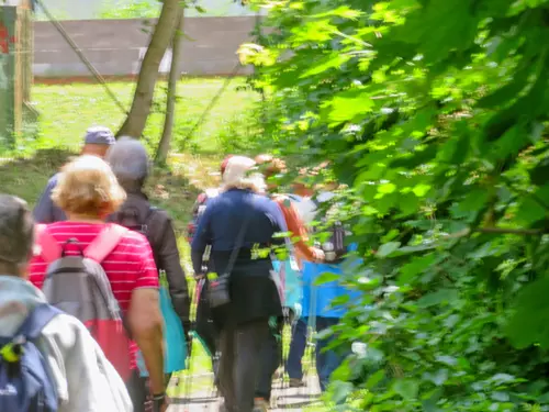 Nordic Walking pro seniory 65+