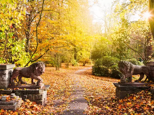 zámek konopiště, kudy z nudy, park