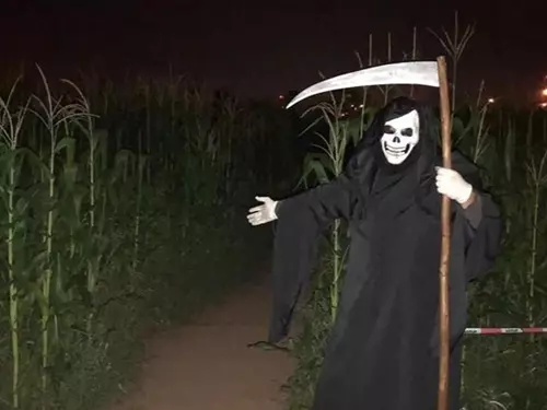 Noční bloudění v kukuřičném bludišti v Brně