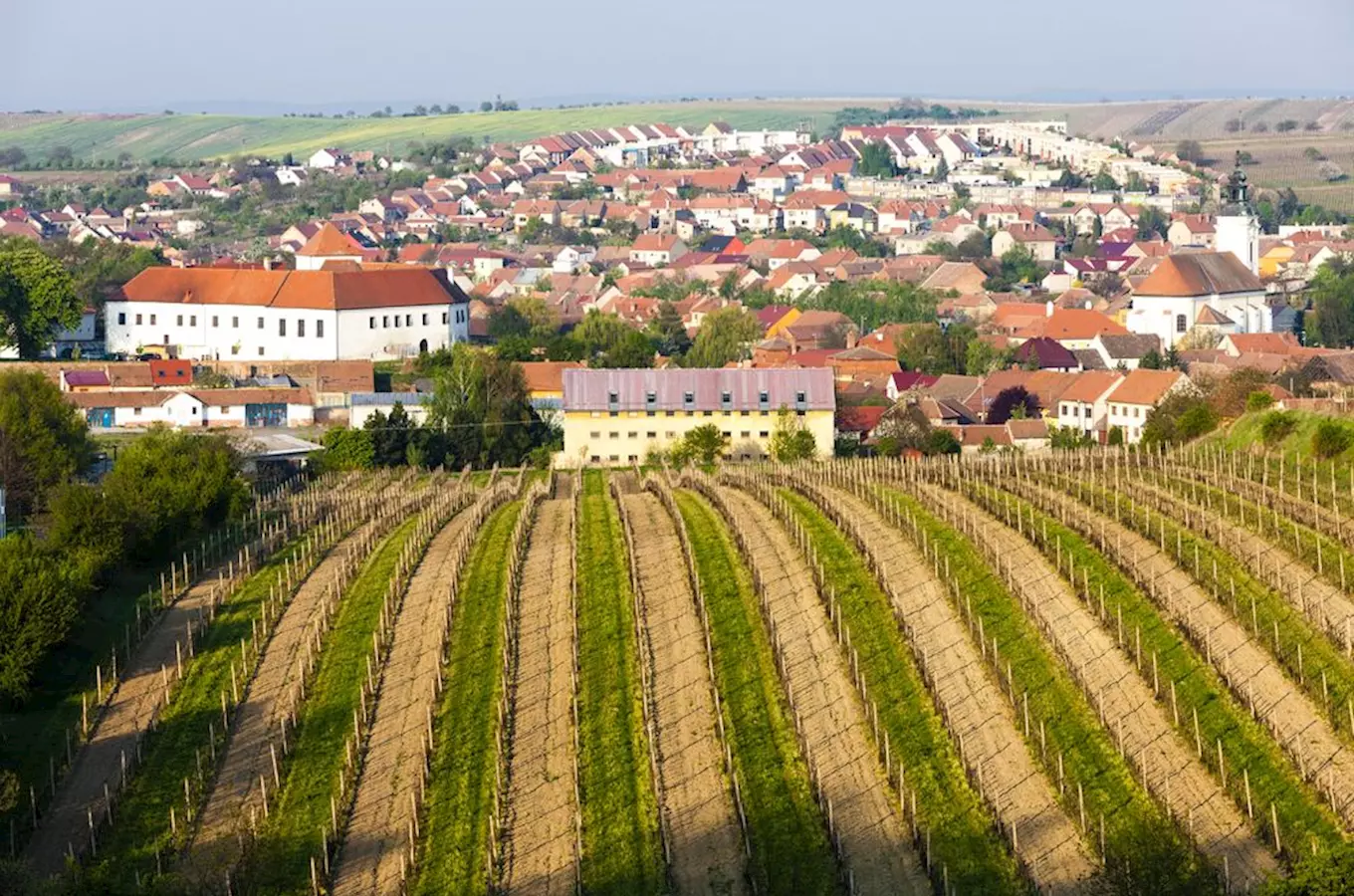 Projděte se Čejkovickou vinnou stezkou. Otevřené budou vinné sklepy i Sonnentor 