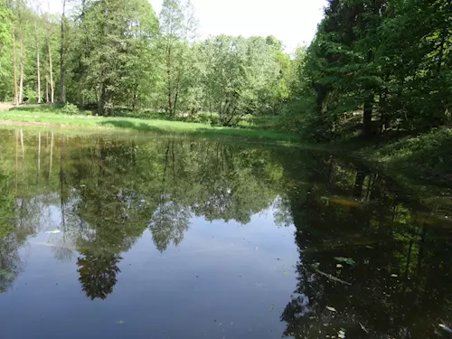 Historická vodní nádrž a tůně v Jablonském lese u Letohradu