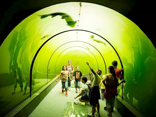 Živá voda – prosklený tunel pod vodou v Modré u Velehradu