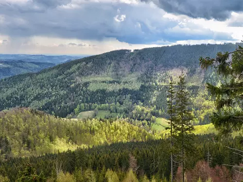 Lesy nad Ludvíkovem