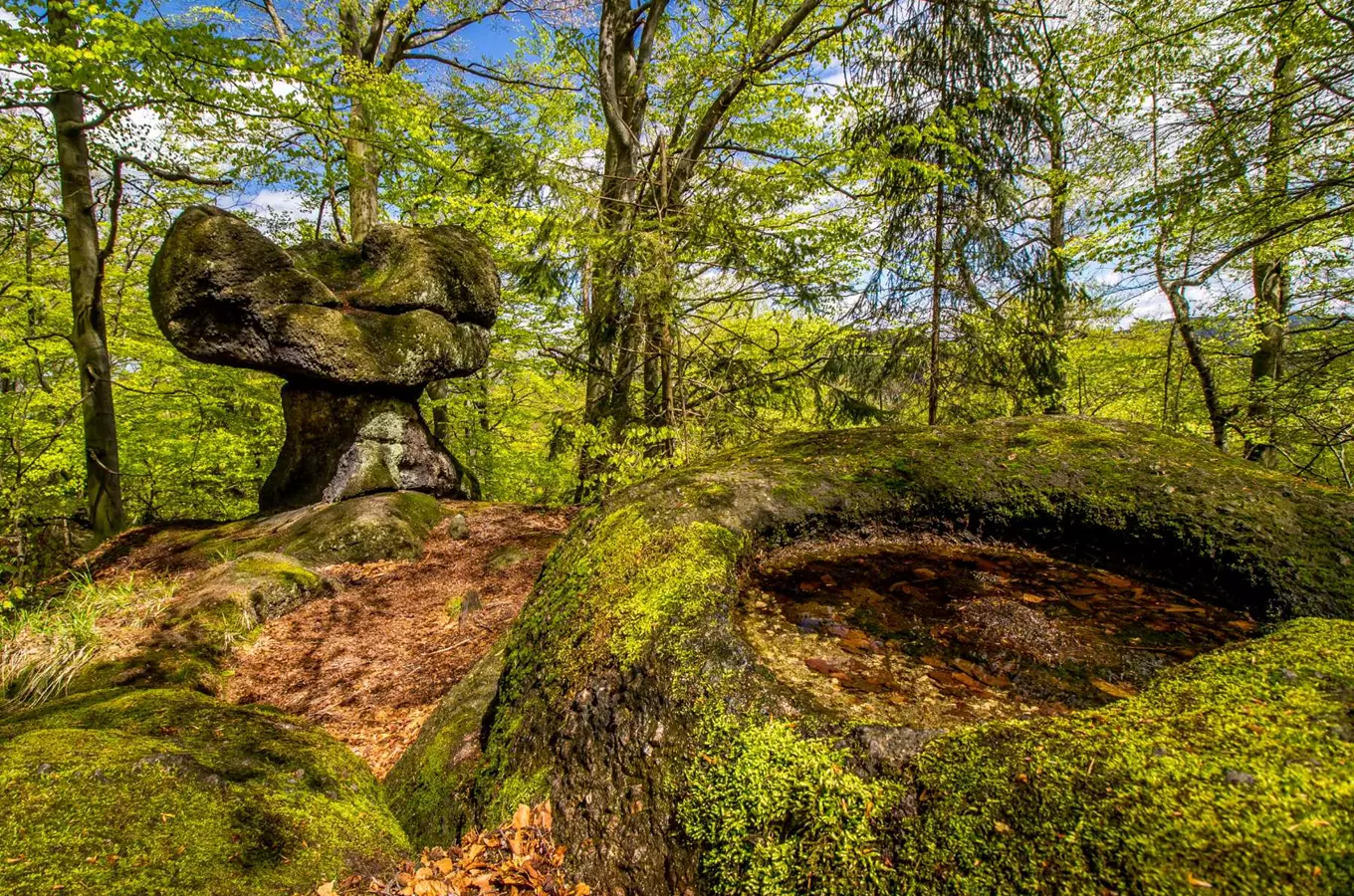 Národní přírodní rezervace Jizerskohorské bučiny, kudy z nudy, Zdroj foto: Visit Jablonec