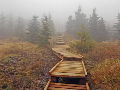 Turistický chodník na nejvyšší horu Jizerských hor prošel rekonstrukcí