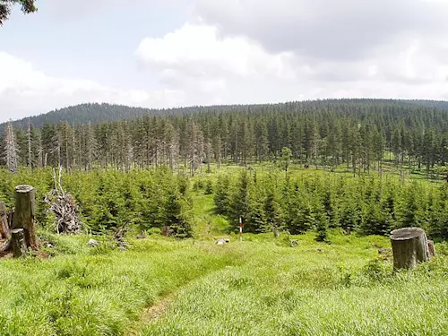 Vrchol Smrčina v Beskydech