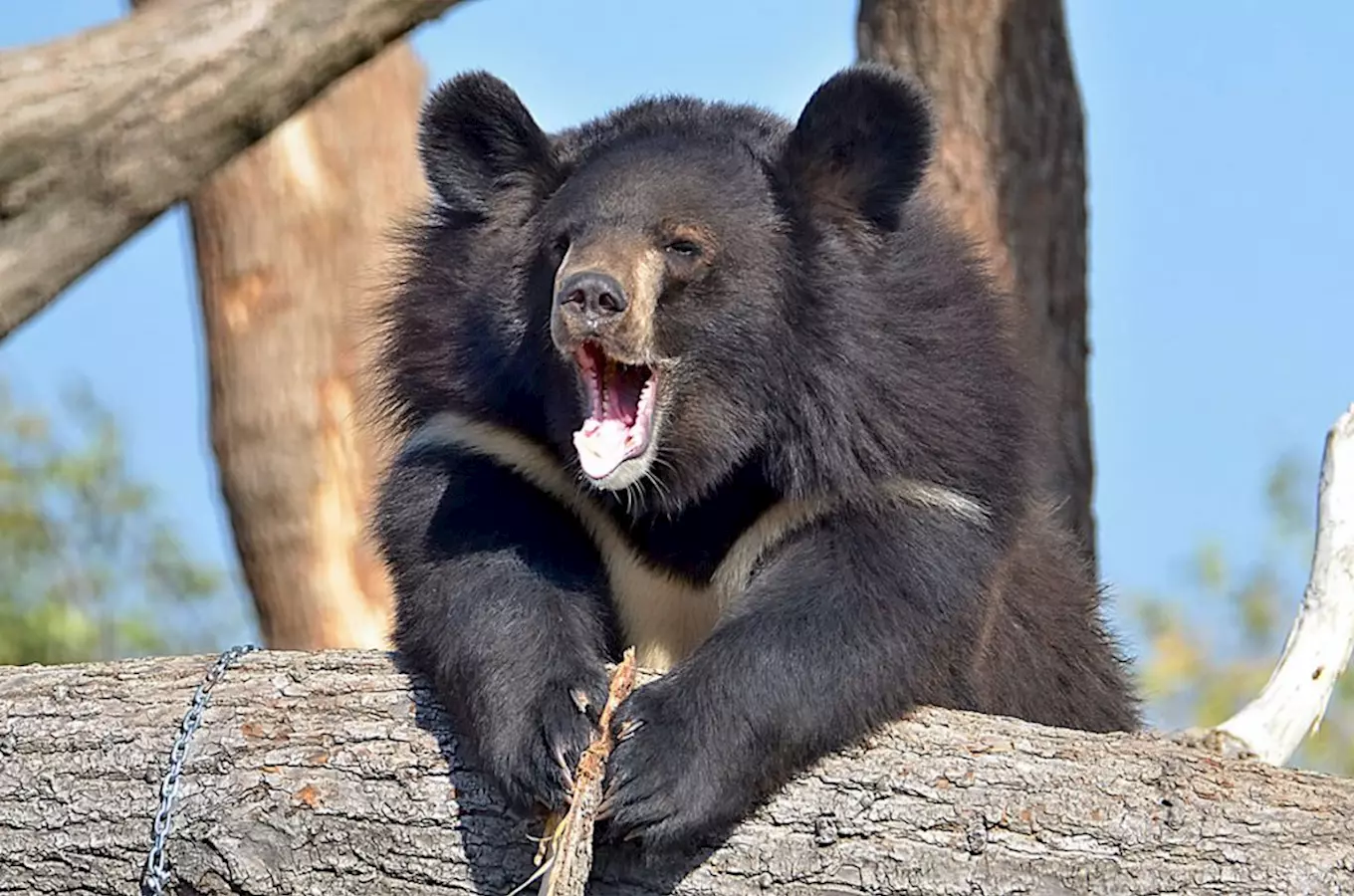 Víte, že jedinou středočeskou zoo najdete v Chlebech?