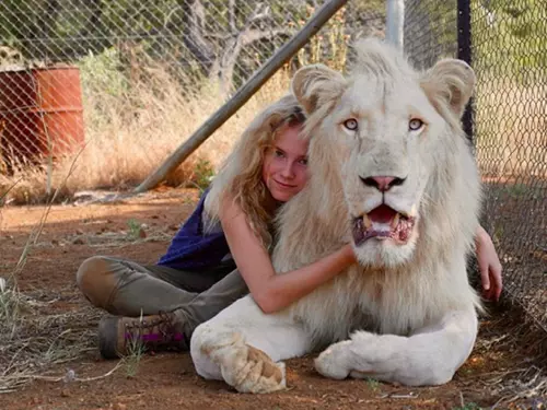 Mia a bílý lev: promítání s charitou v Letním kině v Hranicích