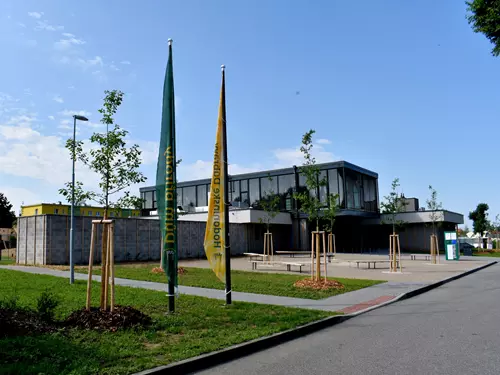 Botanická vycházka za krásami jarních květin