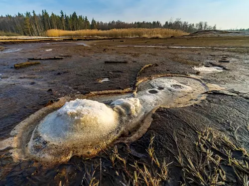 Národní přírodní rezervace Soos – český Yellowstone nedaleko Františkových Lázní