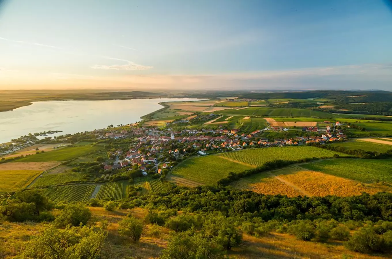 Archeostezka Pavlov – Naučná stezka z archeoparku v Pavlově do Dolních Věstonic