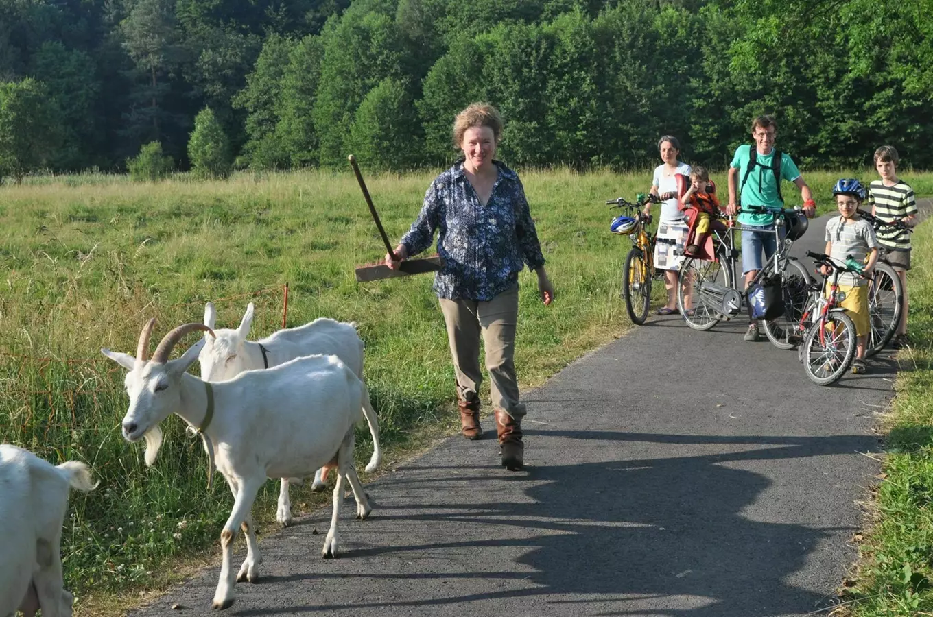 Cyklotrasa Lučany nad Nisou – Liberec – Hrádek nad Nisou