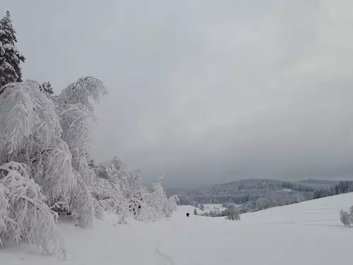 Šumavská příroda