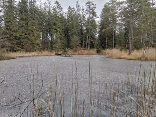 Přírodní rezervace Ranská jezírka