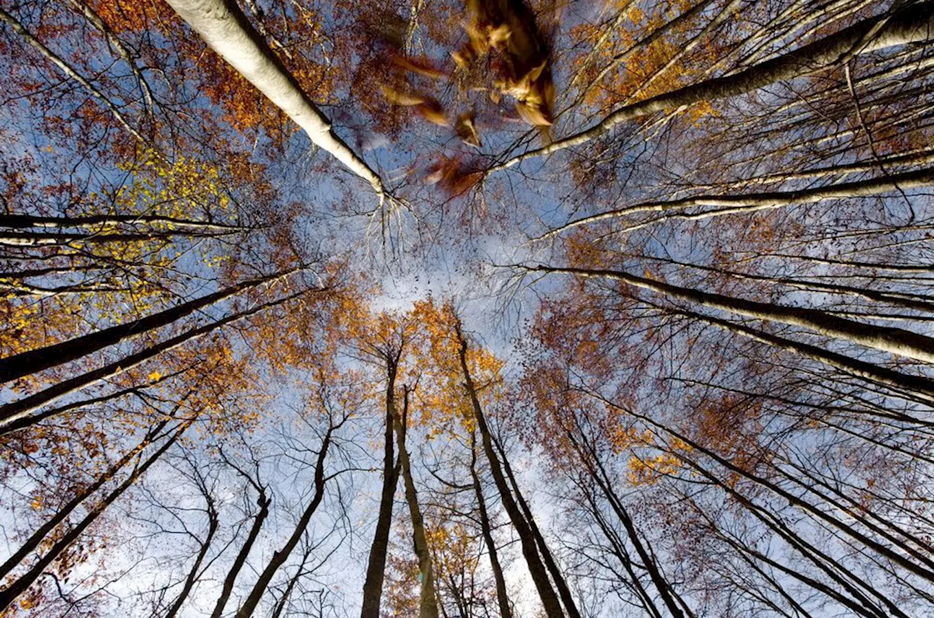 Velká Javořina – nejvyšší vrchol Bílých Karpat