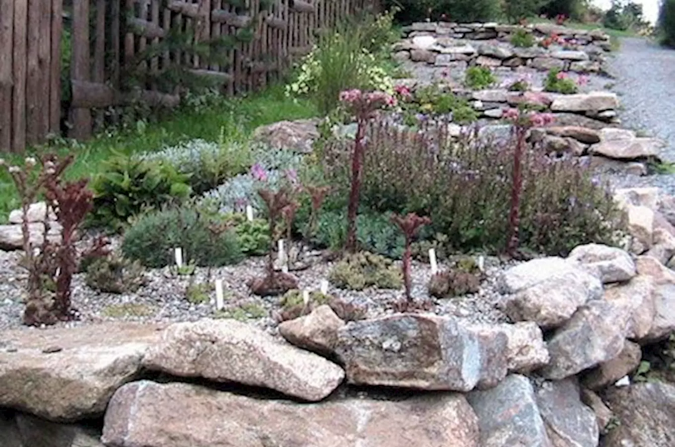 Botanická zahrada Prášily – nejvýše položená botanická zahrada v Česku