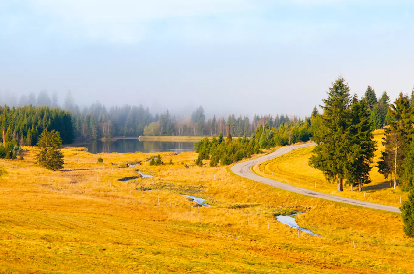 Cyklovýlet z Božího Daru na Blatenský vrch, Perninské rašeliniště a zpět