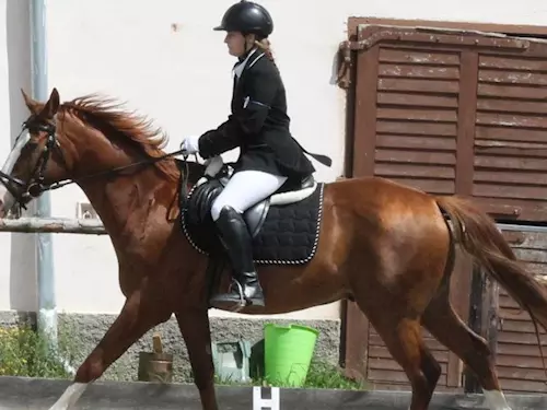 Dvůr Svržno – jezdectví či pobyty u koní