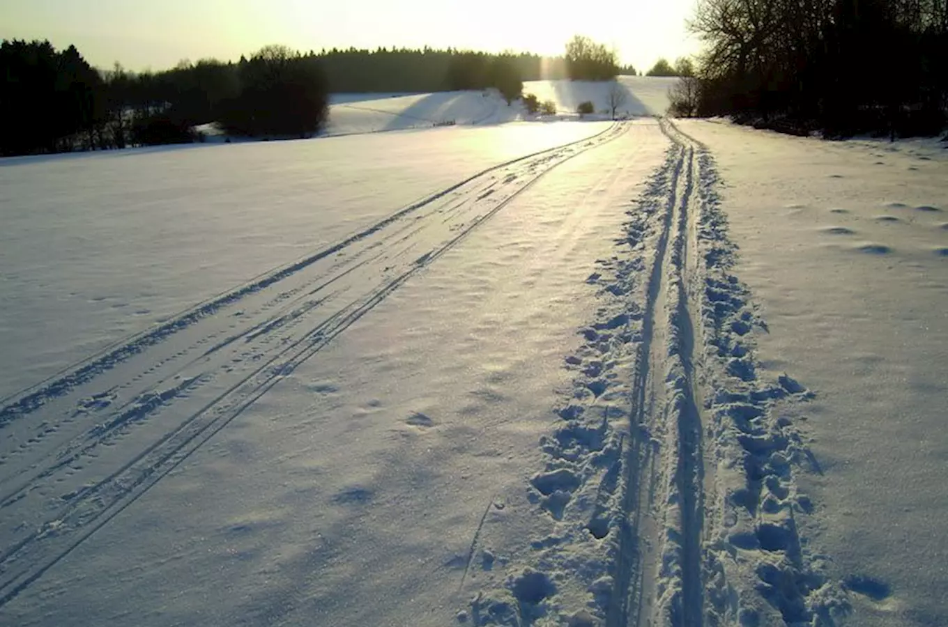 Trat Ovcí stopou