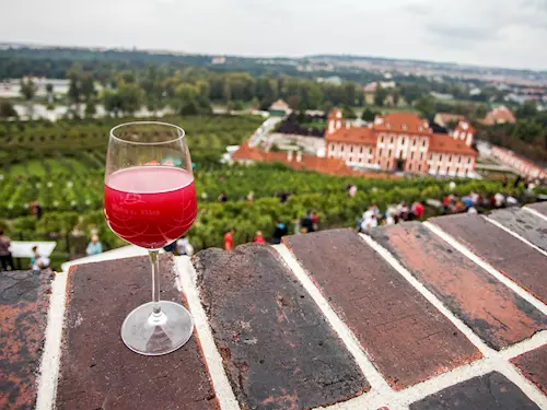 Pražské vinice 2024 – Putování vinicemi hlavního města