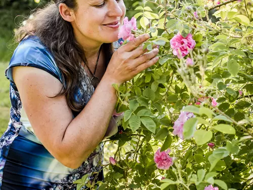 Zážitkové léto v Bílých Karpatech – Růže s tóny léčivých nástrojů