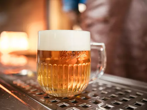 Kam za dobrým pivem na Budějovicko? Objevte známé i méně známé pivovary na jihu Čech