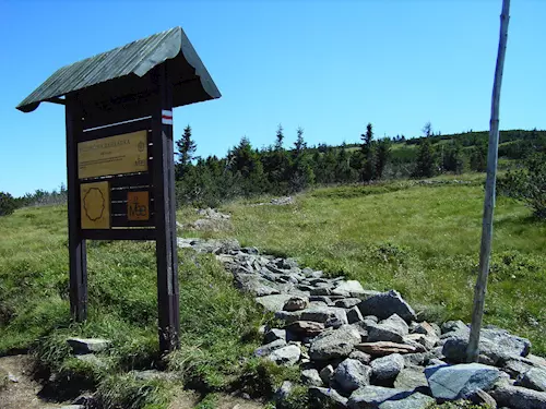Růženčina zahrádka
