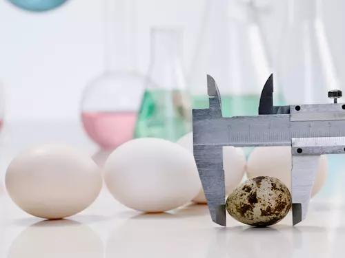 Na velikonocní science show plnou experimentu s vajícky se mužete tešit 2. až 6. 4.