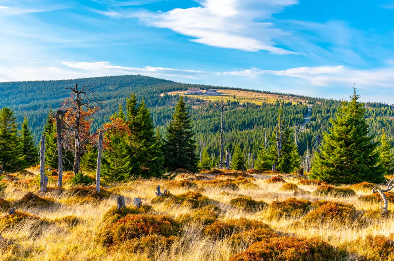 Krkonoše, Kudy z nudy, KRNAP