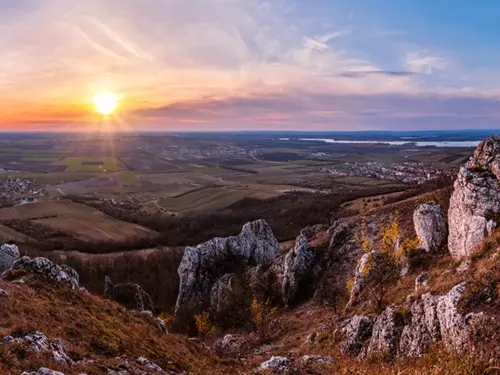 Stolová hora na Pálavě – nejbohatší lokalita šalvěje etiopské v Česku