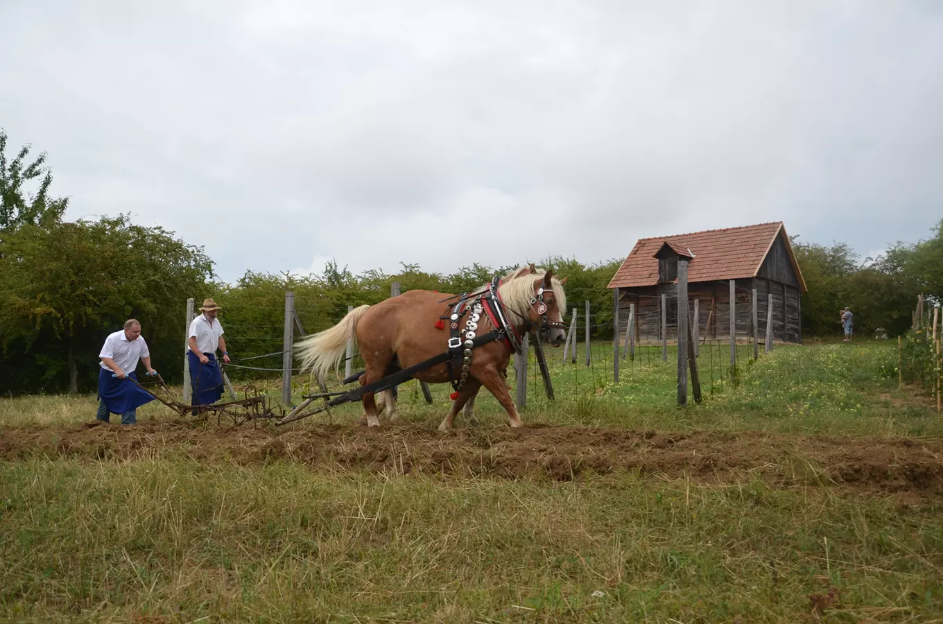 Pole, louky, sady, neumřeme hlady