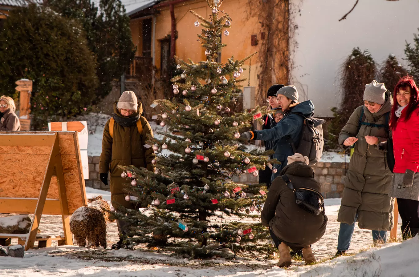 Adventní trhy a Stromeček splněných přání