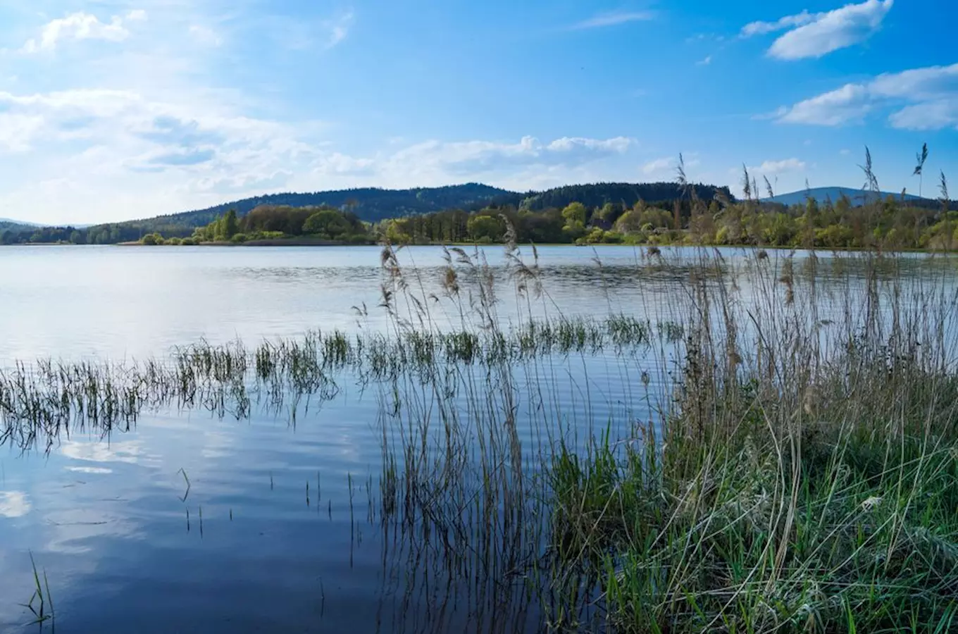 Český Tajvan na Lipně – největší ostrov Lipenské přehrady