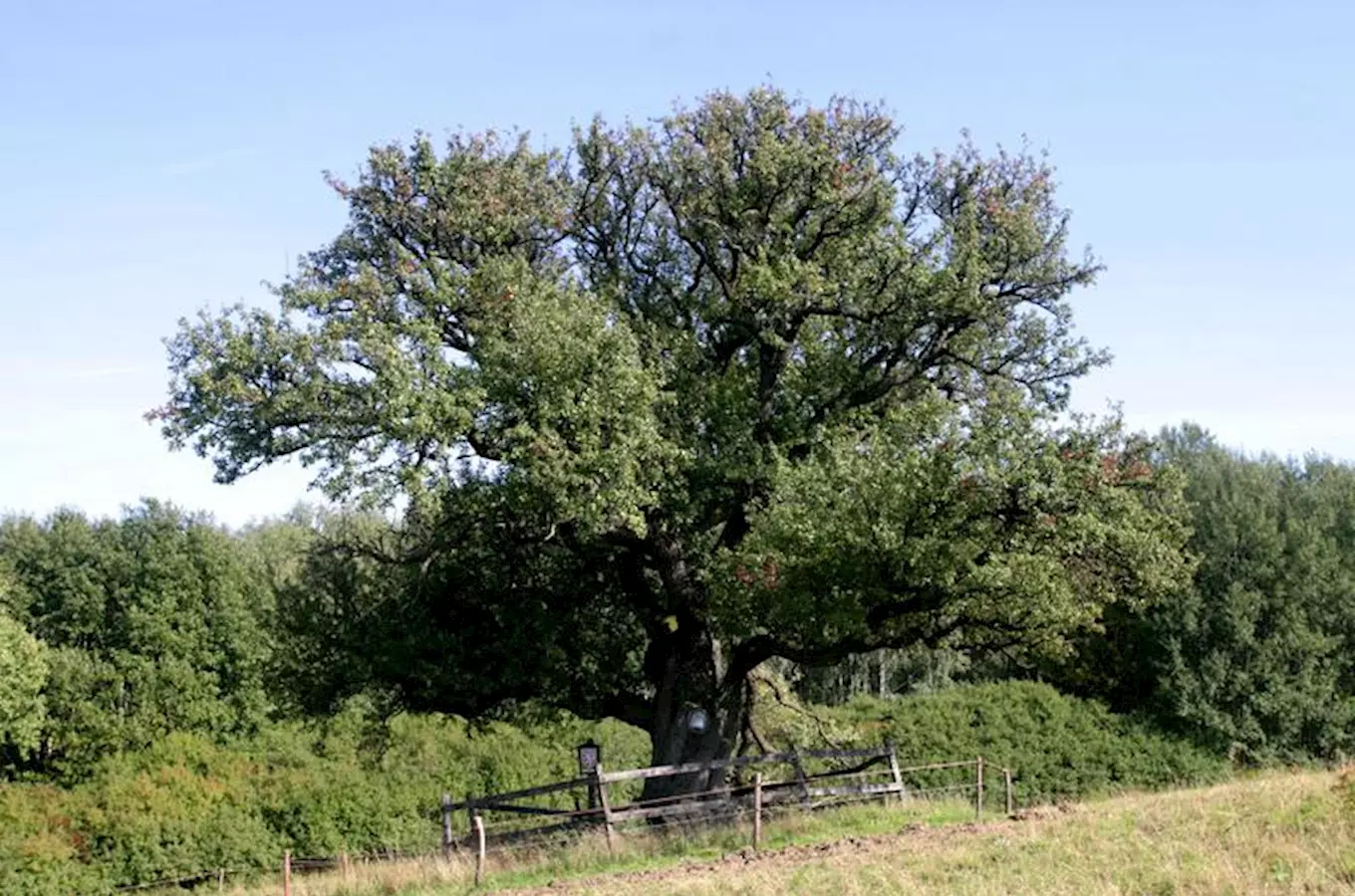 Naučná stezka Hluboček – Hluk