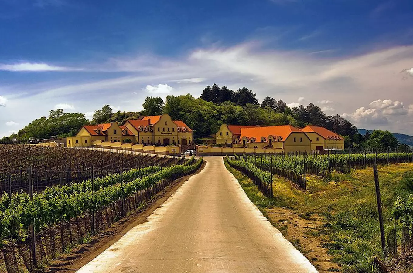 Vinařství U Kapličky v Zaječí – relax uprostřed vinohradů