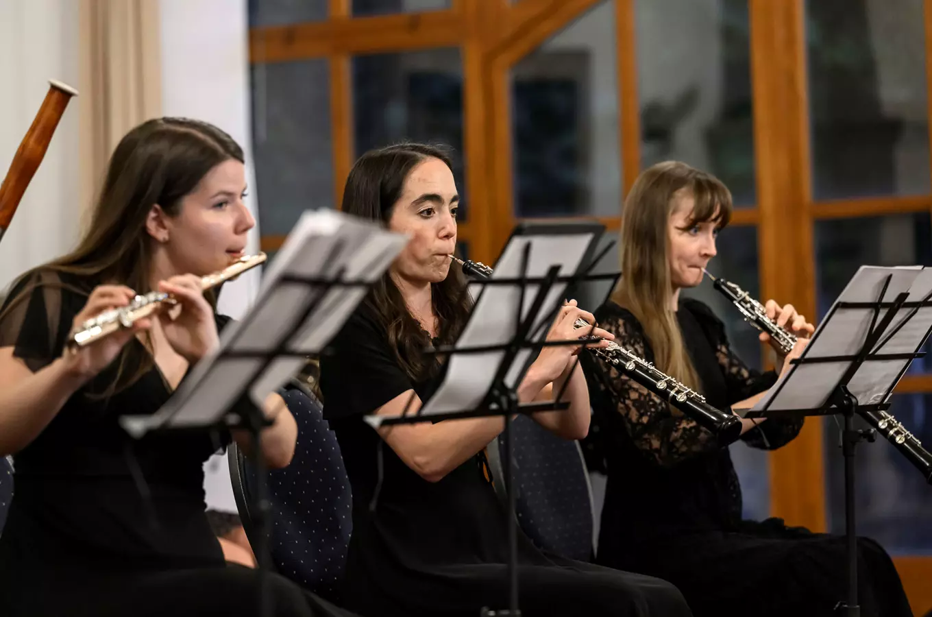 Akademie komorní hudby foto Petra Hajská