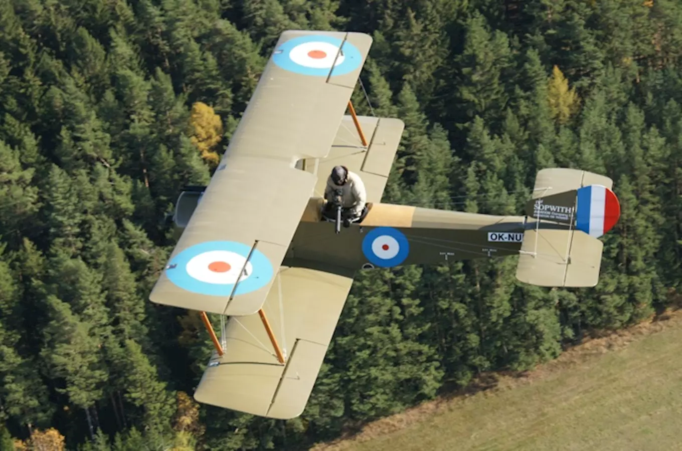 Sopwith Strutter