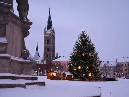 Vánoční stromeček na náměstí Jana Žižky z Trocnova