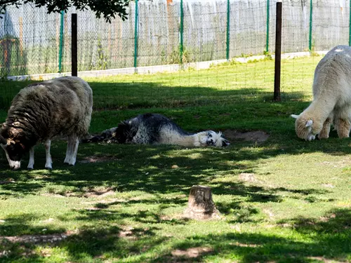 Fajnpark, Kudy z nudy, výlet s dětmi