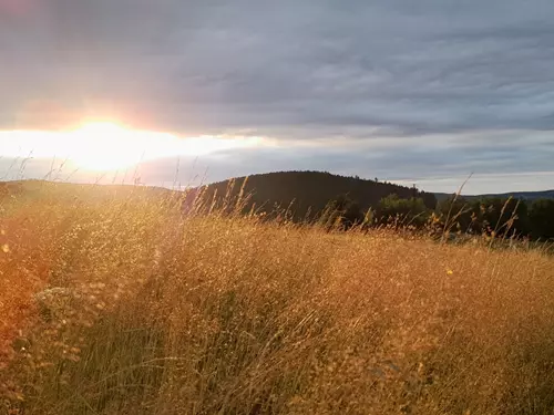 Šumavská příroda