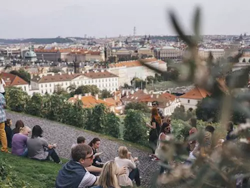 Svatováclavské vinobraní na Pražském hradě