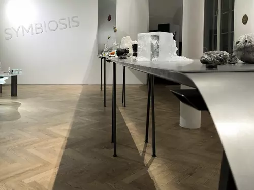 Symbiosis