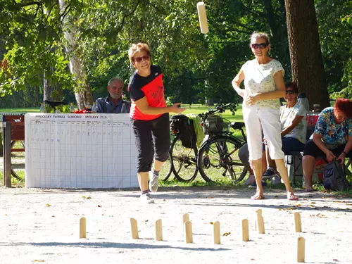 Jihočeský turnaj seniorů ve hře MÖLKKY